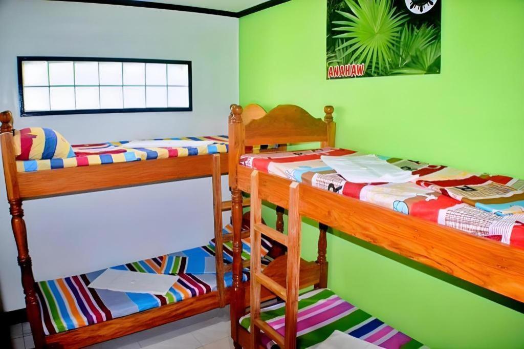 Mayon Backpackers Hostel Legazpi Exterior foto